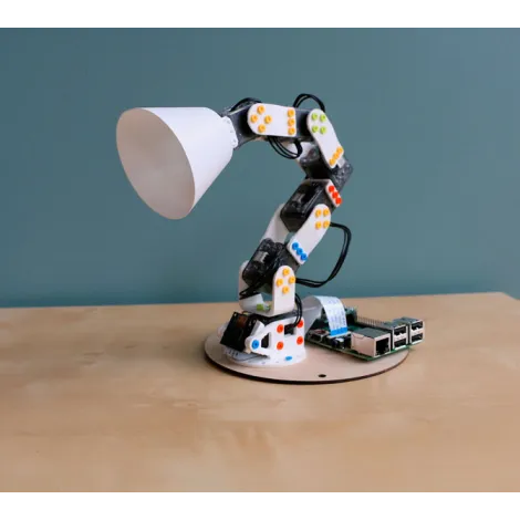 Poppy Ergo Jr mit Teilen aus 3D Druck Poppy Ergo Jr mit Teilen aus 3D Druck
