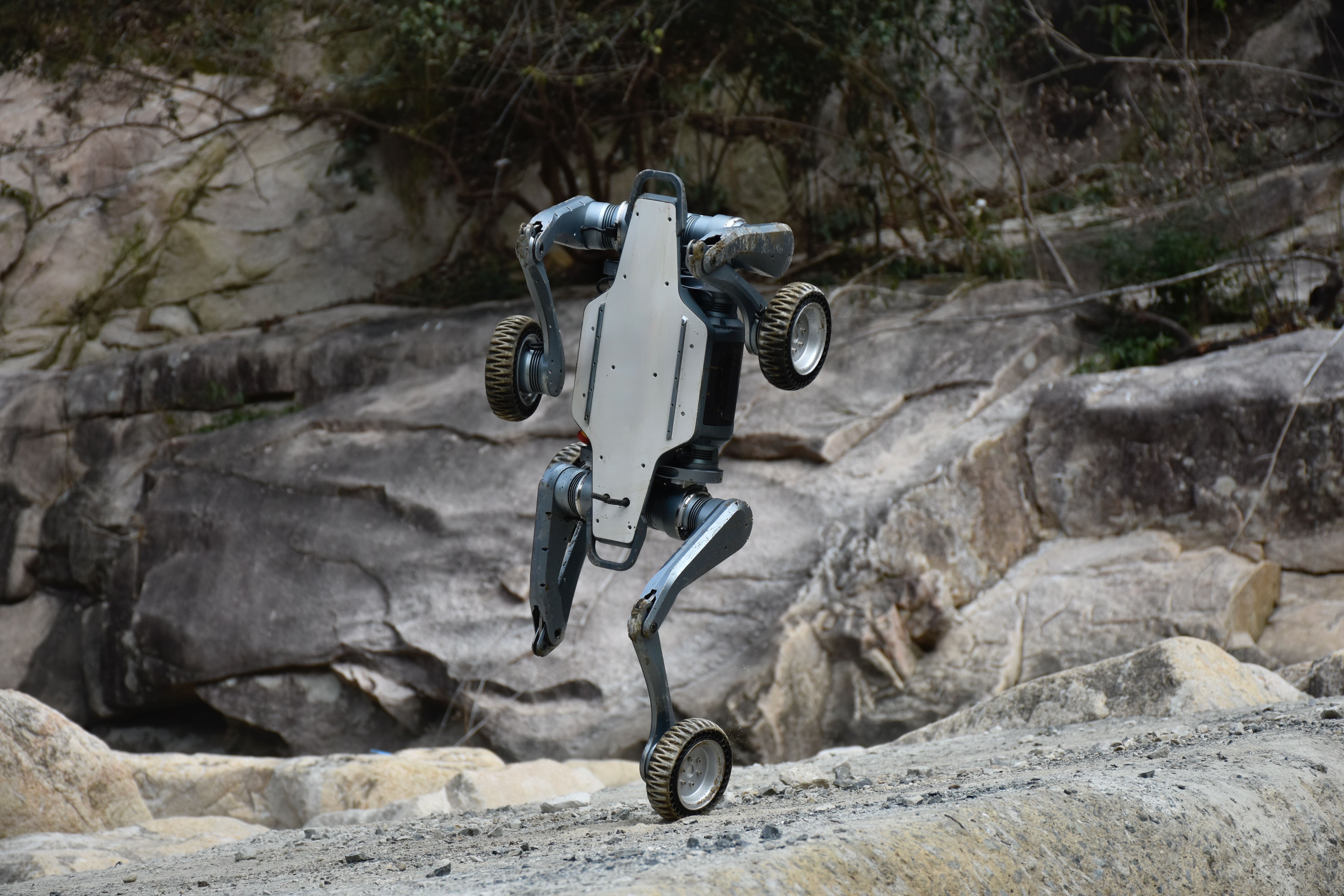 Robot quadrupède Puma - Deep Robotics