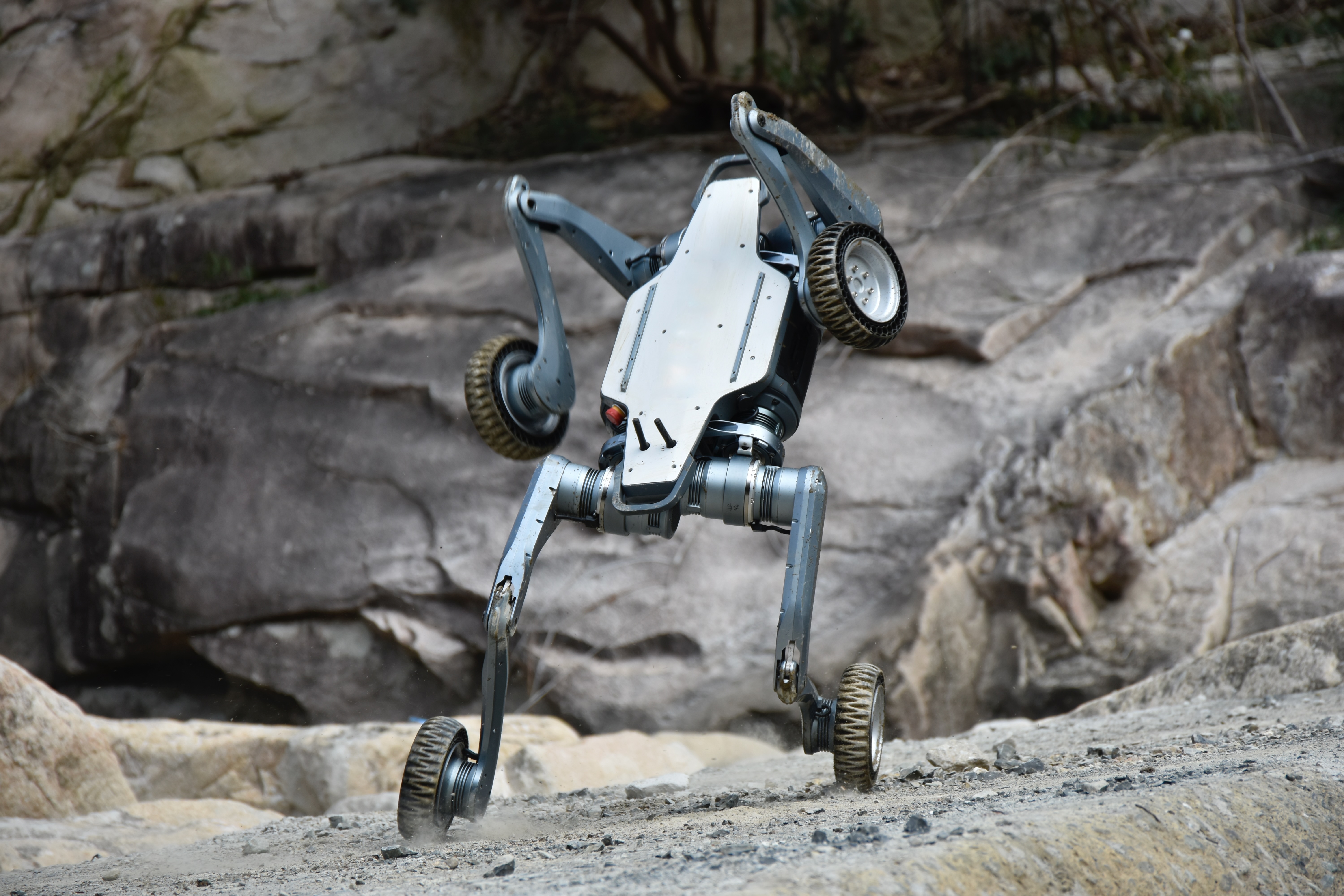 Robot quadrupède Puma - Deep Robotics
