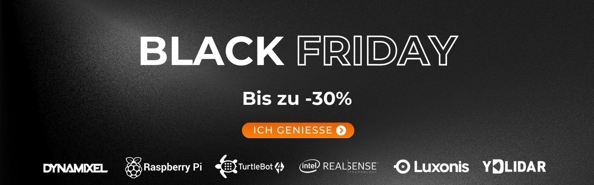 Banneer Black Friday