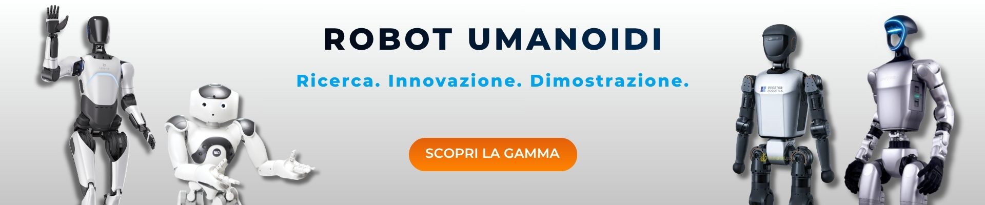 Banner “Robot umanoidi” nella home page 