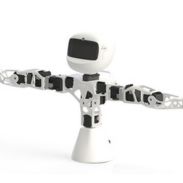 Robot humanoide Poppy Torso