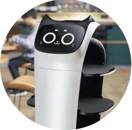 Catégorie Robots de service