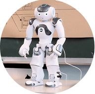 Kategorie Humanoide Roboter