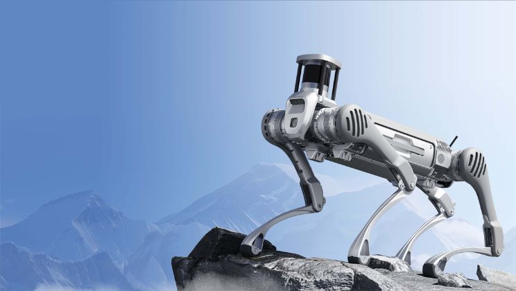 B2 Hundroboter von Unitree Robotics