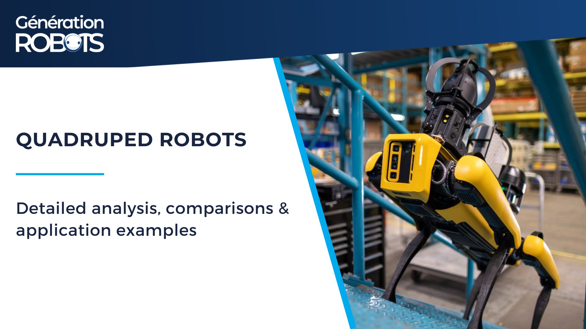 Livre blanc robots quadrupèdes