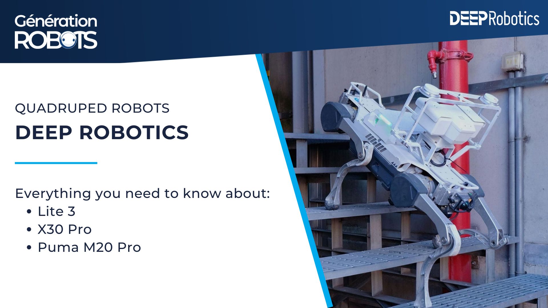 Deep Robotics brochure