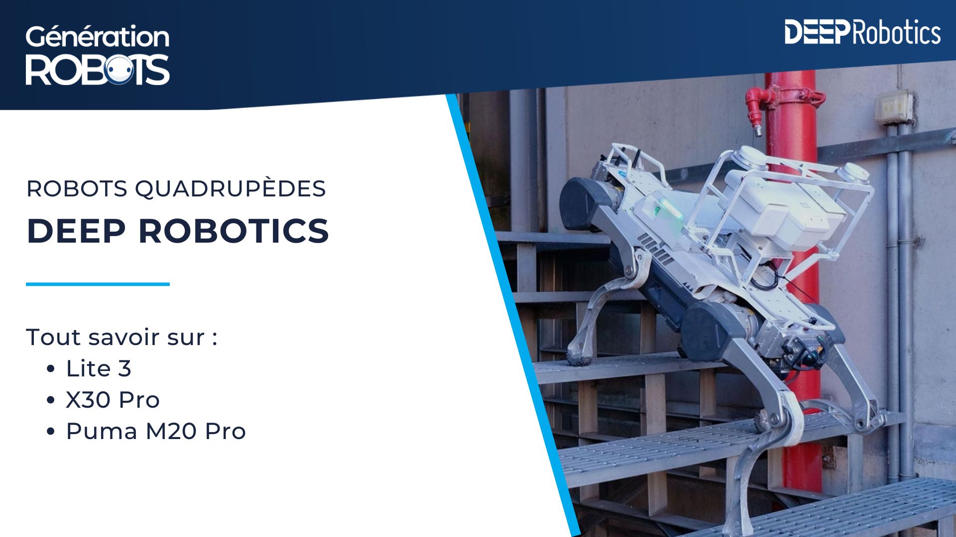 Brochure Deep Robotics