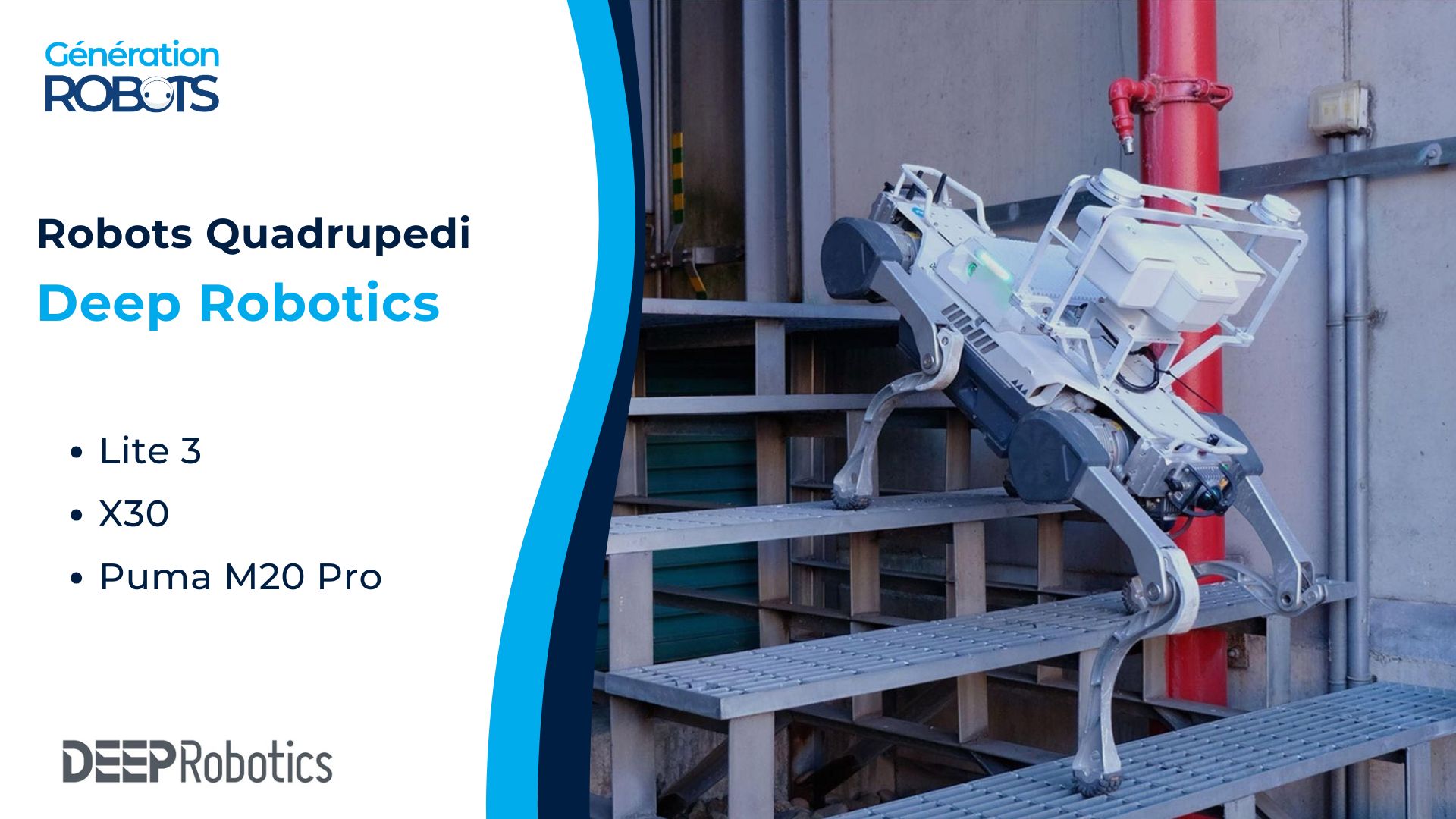 Brochure Deep Robotics