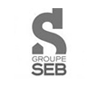 SEB logo