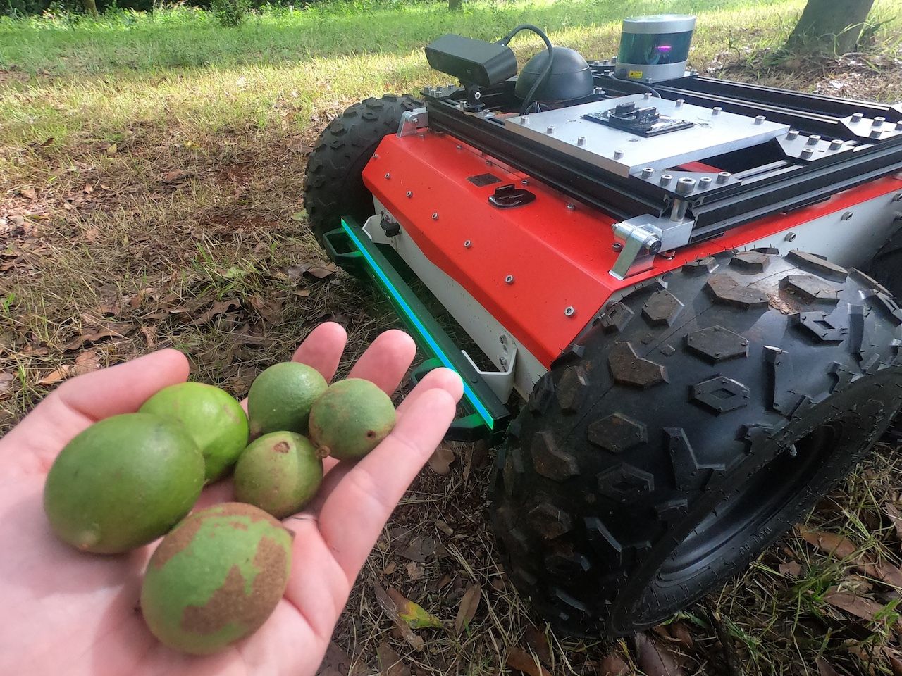 Husarion Panther - Macadamia nut harvesting in Australia