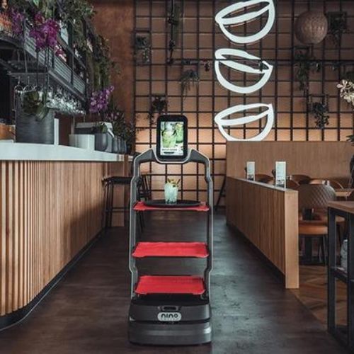 LuckiBot - Robot for restaurants