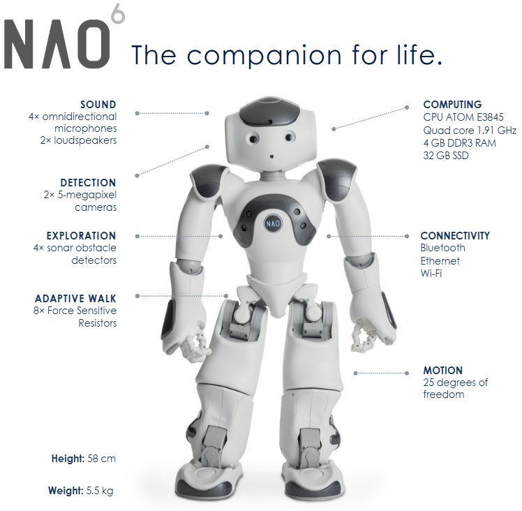 Specific features of the NAO humanoid robot