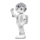 Robot educativo umanoid Alpha mini